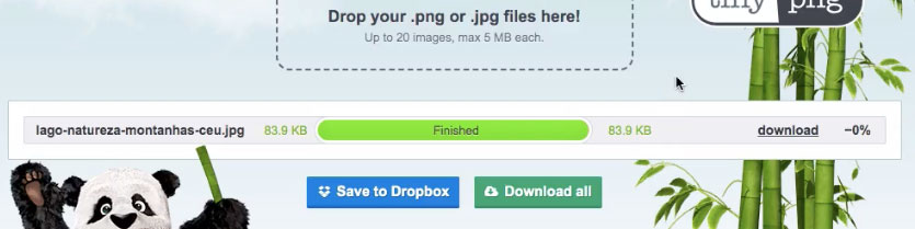 O nome do arquivo deve ser algo que descreva a imagem!