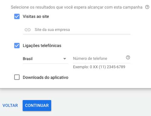 Google ads: selecionar resultados esperados com a campanha